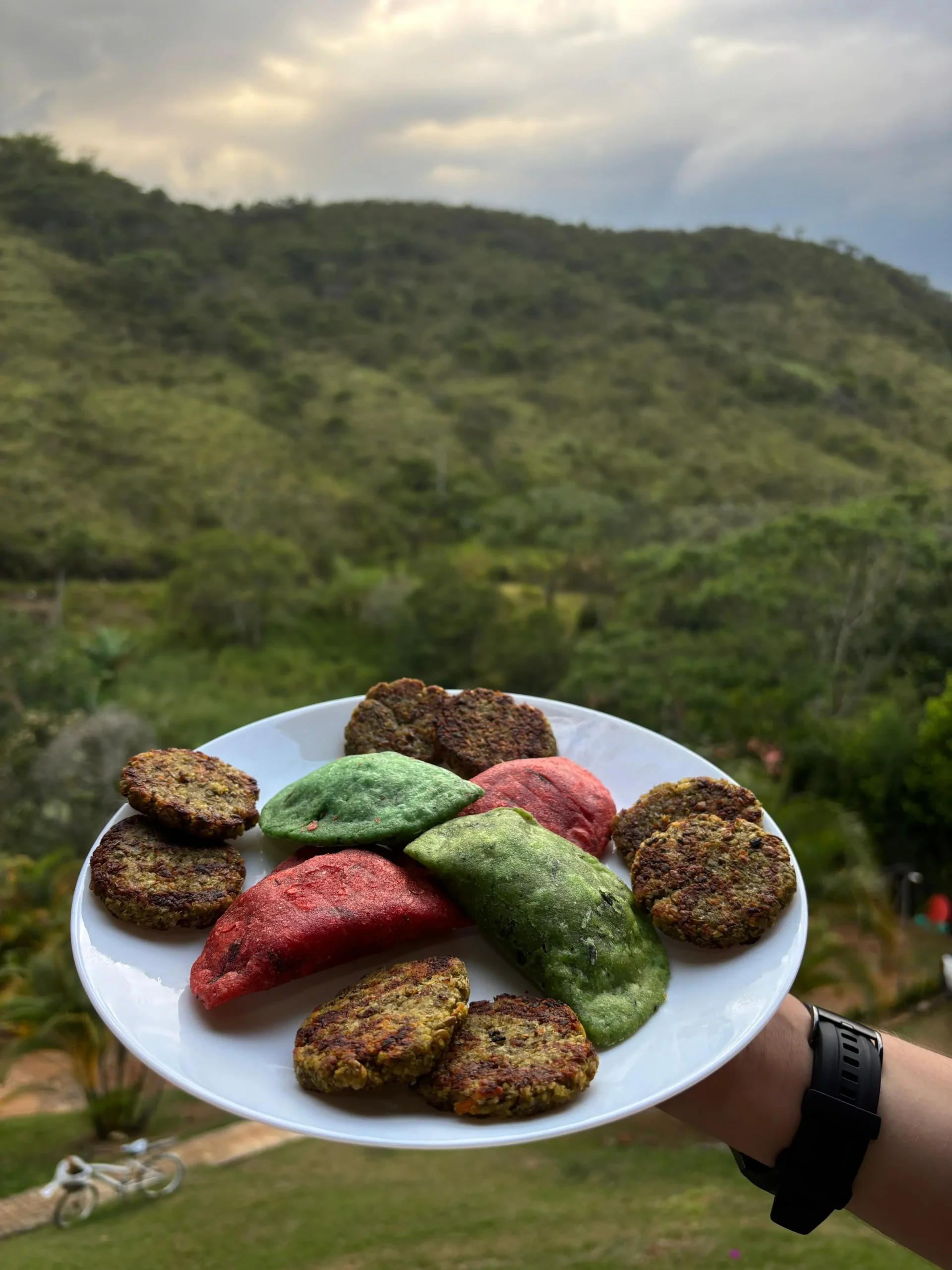 Imagen proteína vegetal en un plato con fondo de naturaleza